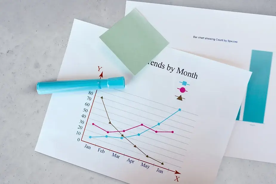 Line and bar charts showing financial trends, representing a case study comparison of rentvesting and homeownership.